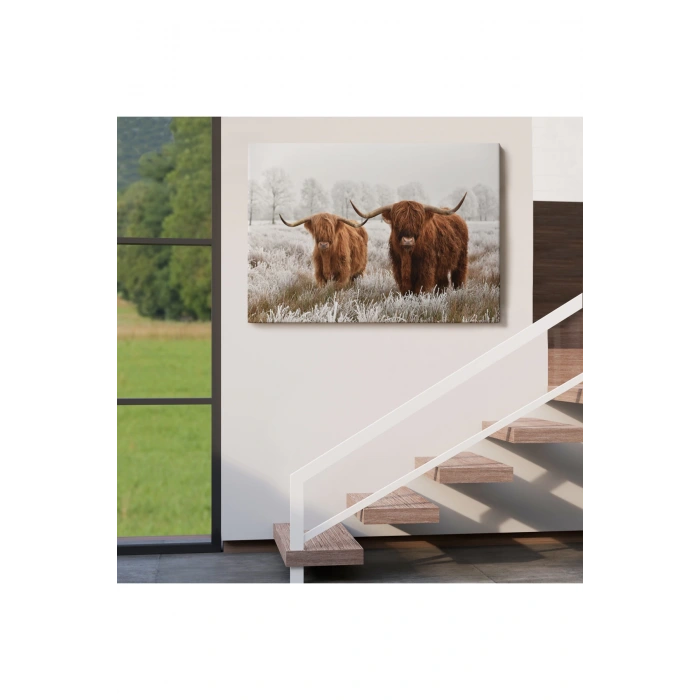 İskoçya Sığırları Dekoratif Kanvas Tablo 1150