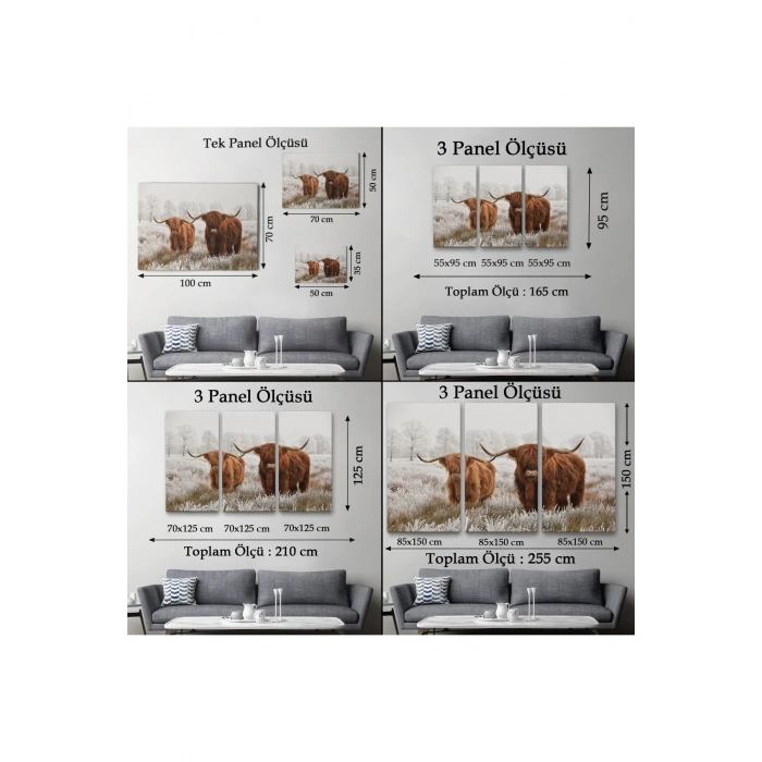 İskoçya Sığırları Dekoratif Kanvas Tablo 1150