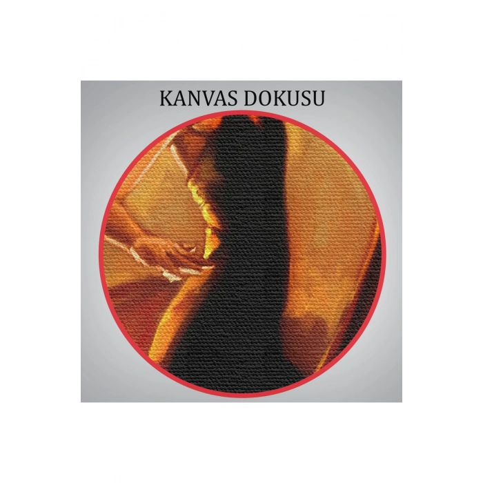 İspanyol Dansçı Kadın Tablosu-6595