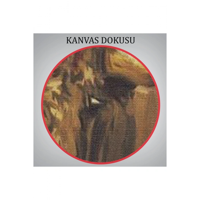 İspanyol Matador Duvar Tablosu-6250