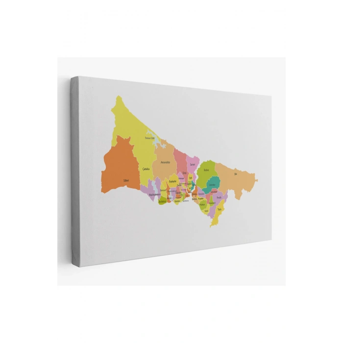 İstanbul İlçeler Haritası Dekoratif Kanvas Tablo 1017