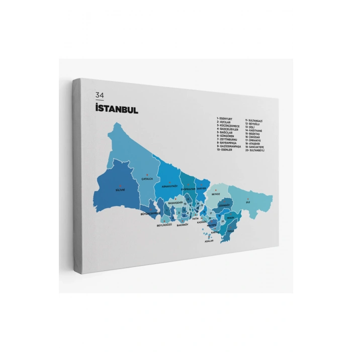 İstanbul  İli ve İlçeler Haritası  Dekoratif Kanvas Tablo 1366