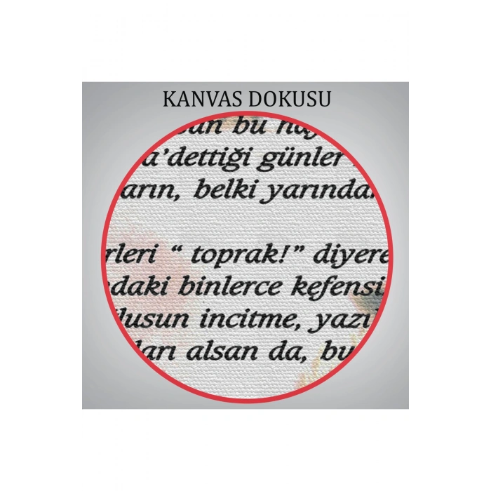 İstiklal Marşı Dekoratif Duvar Tablosu-6466