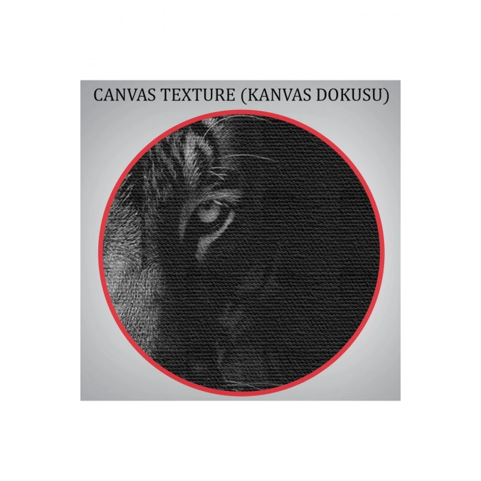 Kaplan Dekoratif Kanvas Tablo 1163