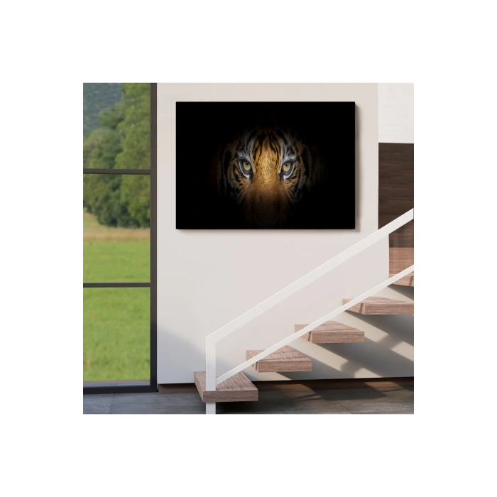 Kaplan Gözleri  Dekoratif Kanvas Tablo 1161