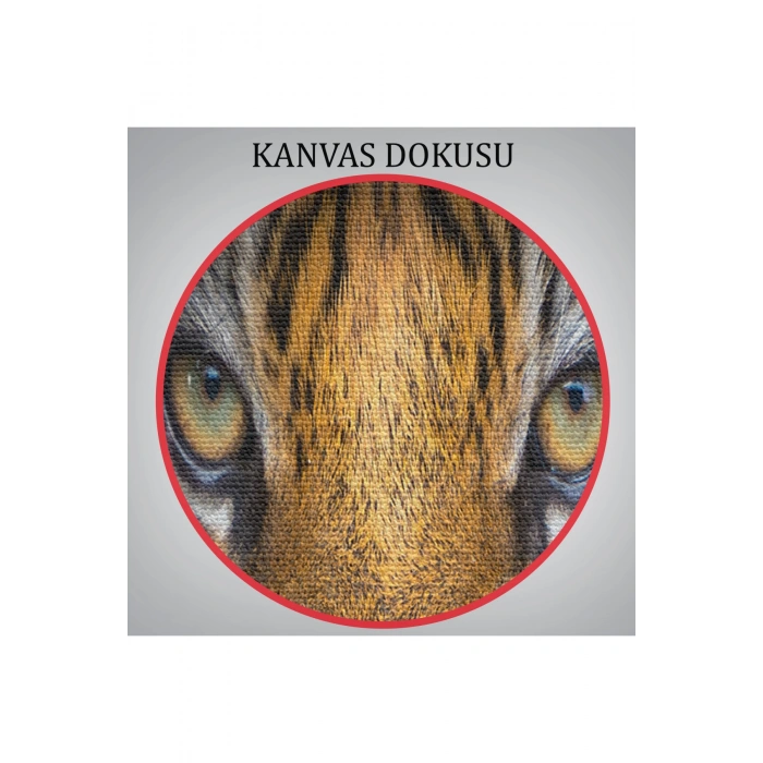 Kaplan Gözleri  Dekoratif Kanvas Tablo 1161