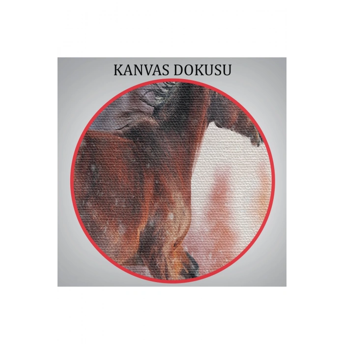 Karda Koşan At Dekoratif Kanvas Tablo 1133