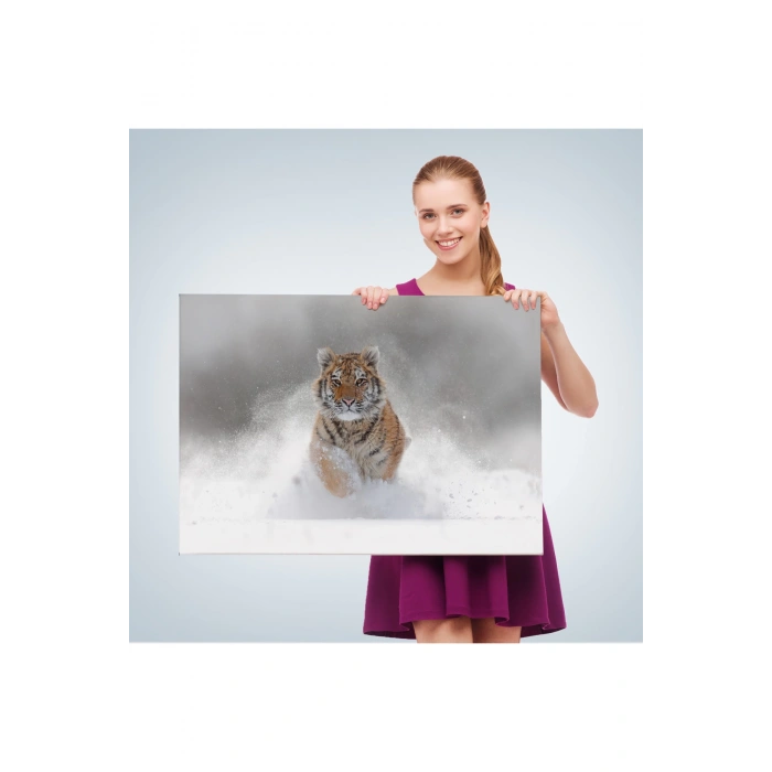 Karda Koşan Yavru Kaplan Dekoratif Kanvas Tablo 1135