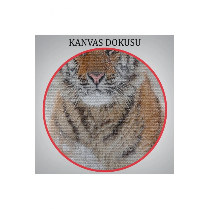 Karda Koşan Yavru Kaplan Dekoratif Kanvas Tablo 1135