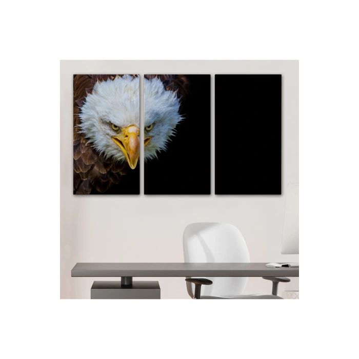 Kartal  Dekoratif Kanvas Tablo 1132