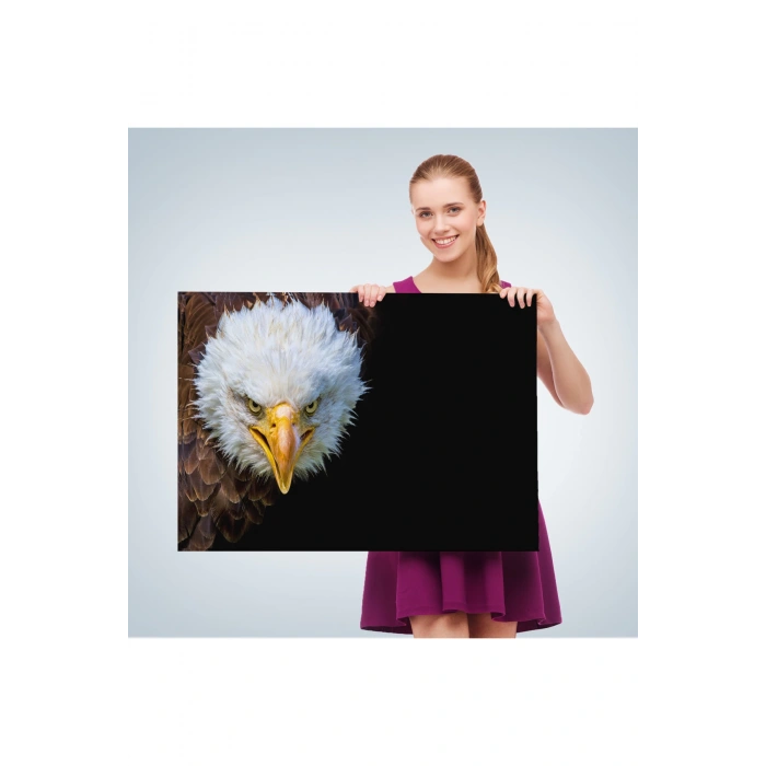 Kartal  Dekoratif Kanvas Tablo 1132