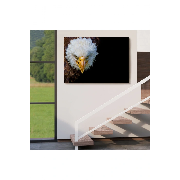 Kartal  Dekoratif Kanvas Tablo 1132