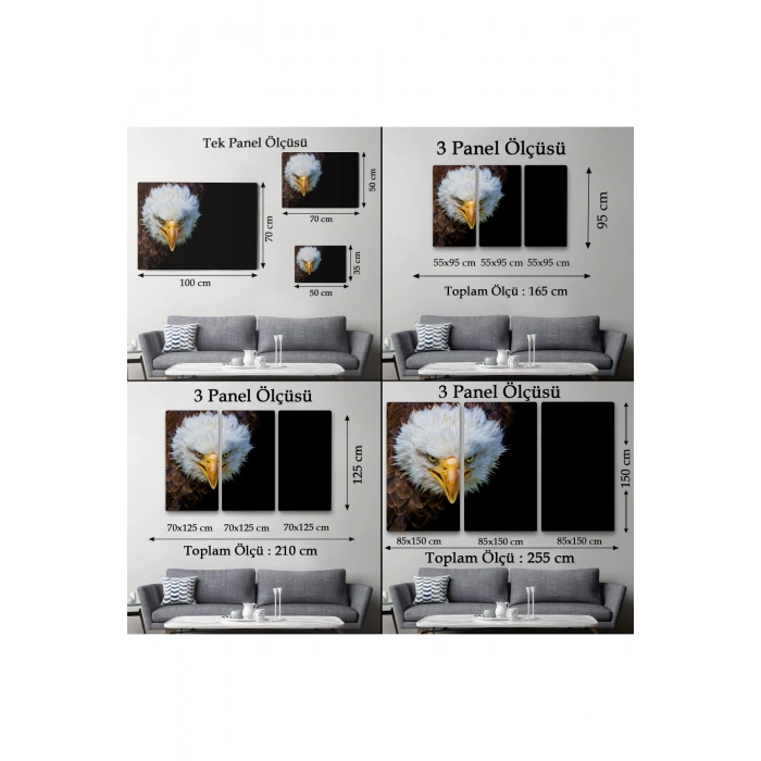 Kartal  Dekoratif Kanvas Tablo 1132