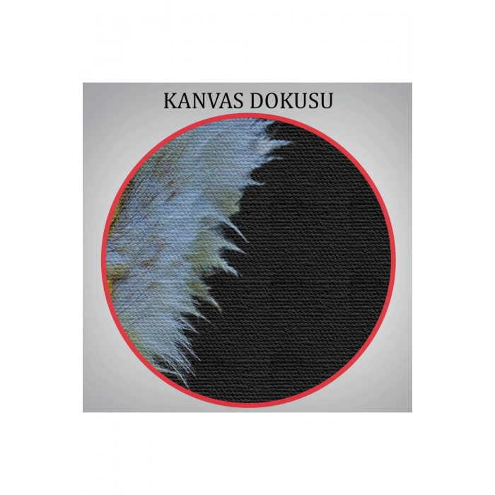 Kartal  Dekoratif Kanvas Tablo 1132