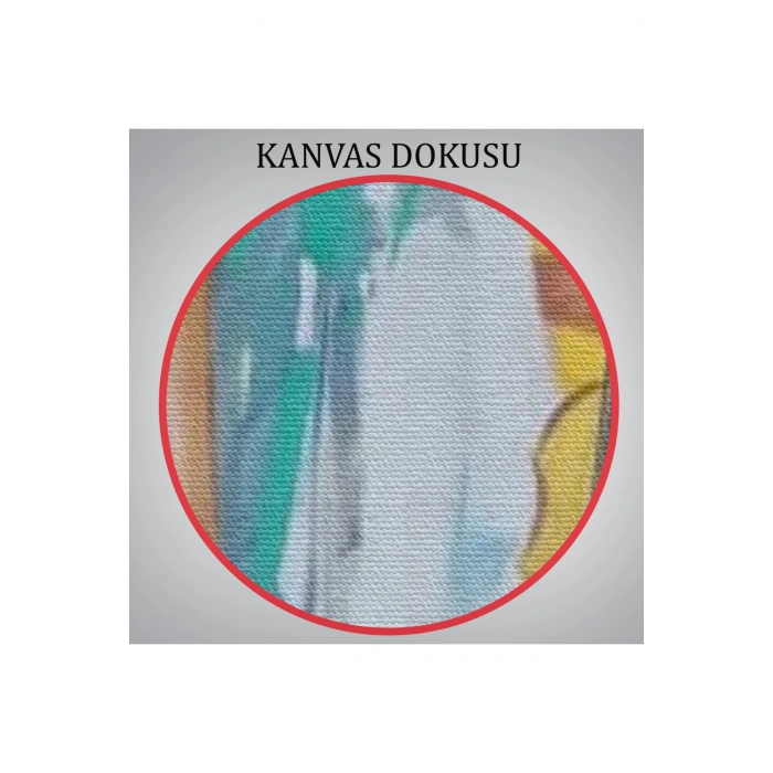 Keman Çalan  Kadın Dekortif Duvar Tablosu-6233