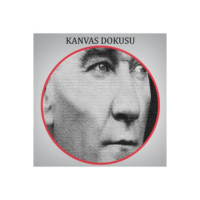 Keskin Bakışlı Atatürk Tablosu-6635