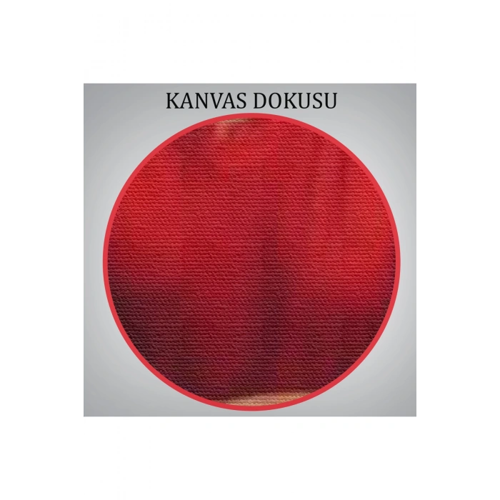 Kımızı Kıyafetli Kız ve Bir Adet Balık Tablosu-6264