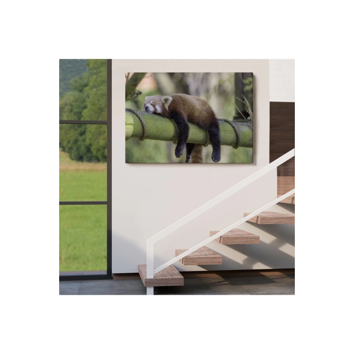 Kırmızı Panda Dekoratif Kanvas Tablo 1140