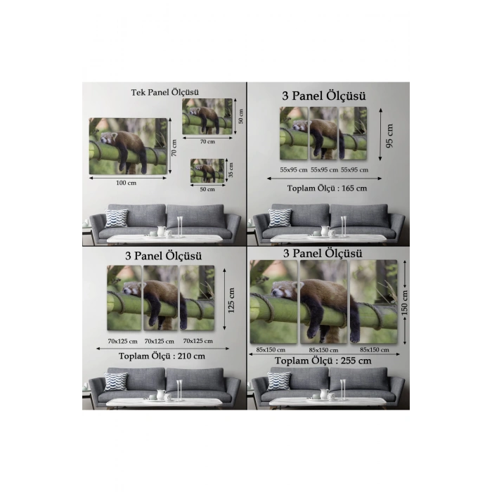 Kırmızı Panda Dekoratif Kanvas Tablo 1140