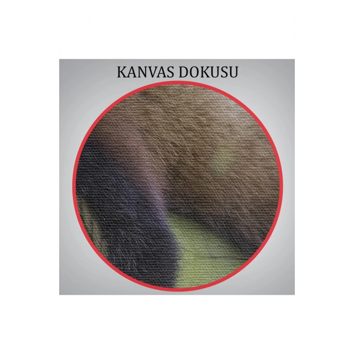 Kırmızı Panda Dekoratif Kanvas Tablo 1140