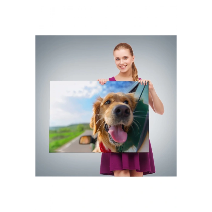 Köpek Dekoratif Kanvas Tablo 1130