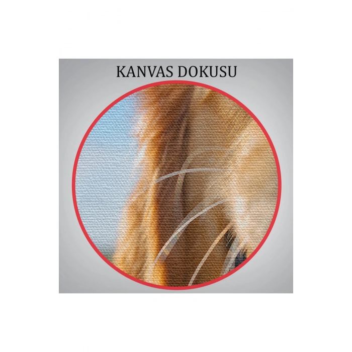 Köpek Dekoratif Kanvas Tablo 1130