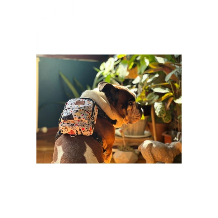 Köpek Sırt Çantası