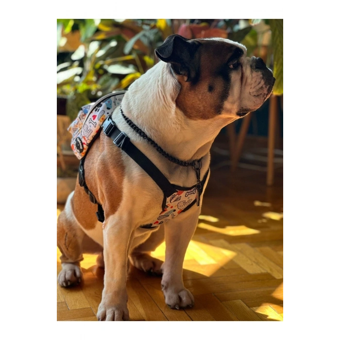 Köpek Sırt Çantası