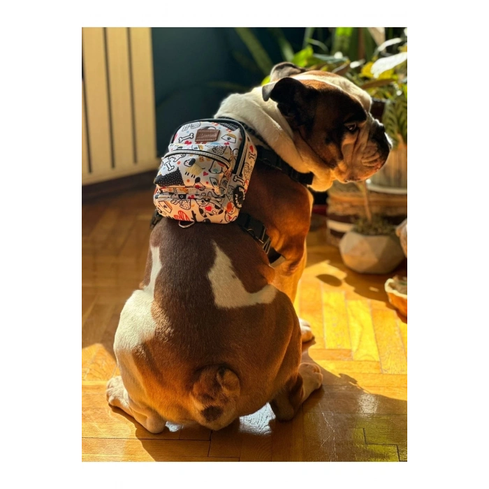 Köpek Sırt Çantası