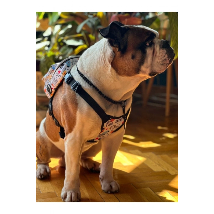 Köpek Sırt Çantası