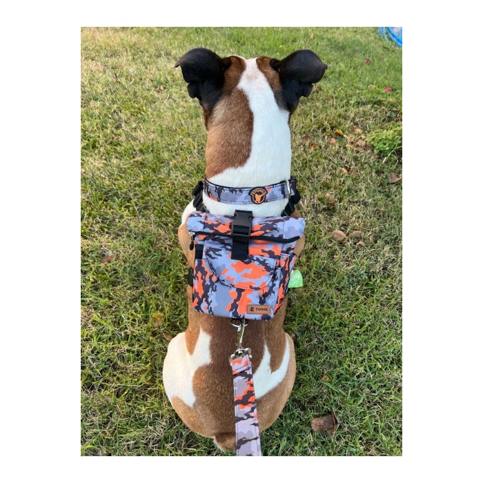 Köpek Sırt Çantası Tasma Seti