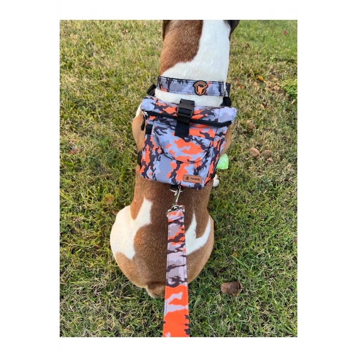 Köpek Sırt Çantası Tasma Seti