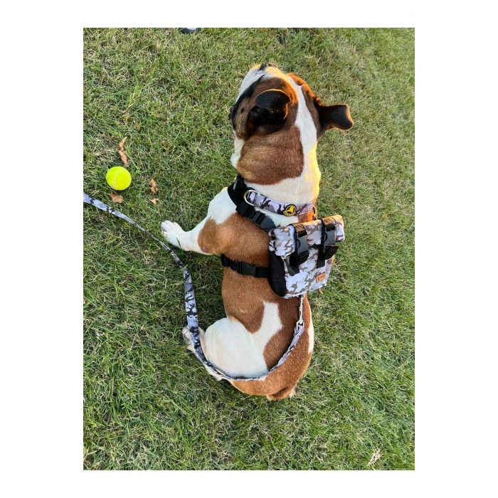 Köpek Sırt Çantası + Tasma Seti