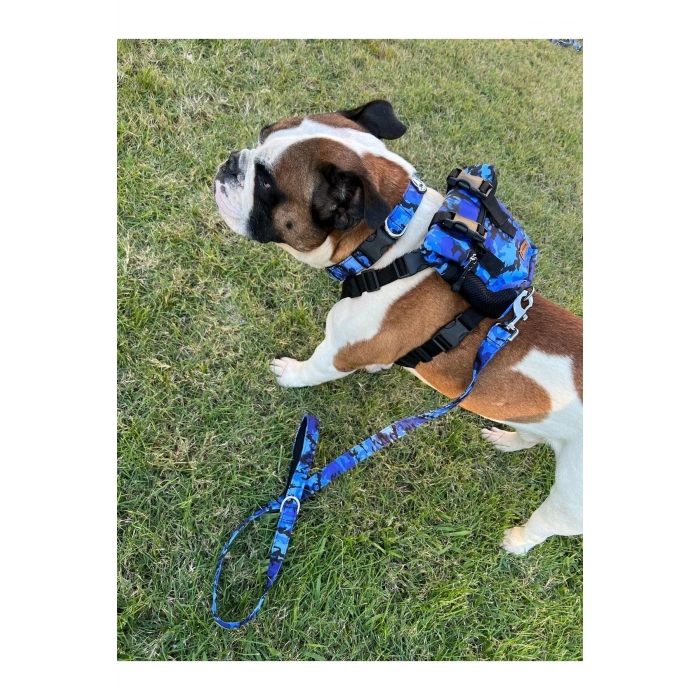 Köpek Sırt Çantası Tasma Seti