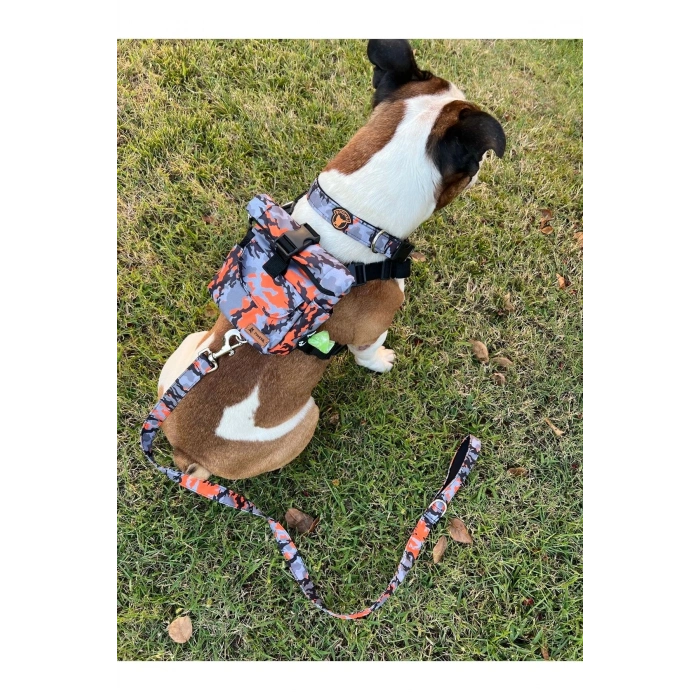 Köpek Sırt Çantası Tasma Seti