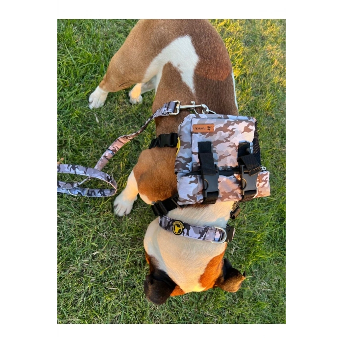 Köpek Sırt Çantası + Tasma Seti