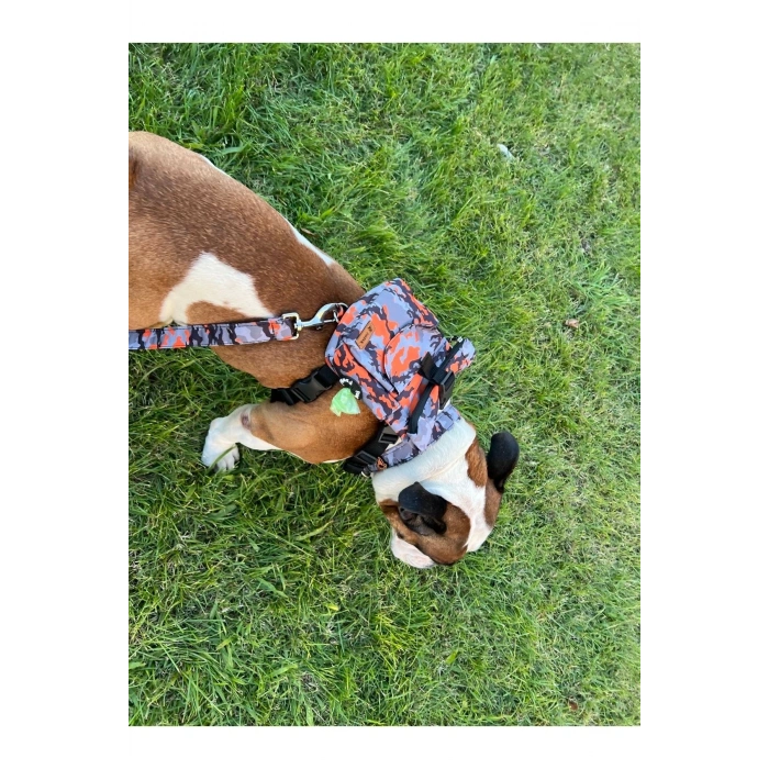 Köpek Sırt Çantası Tasma Seti