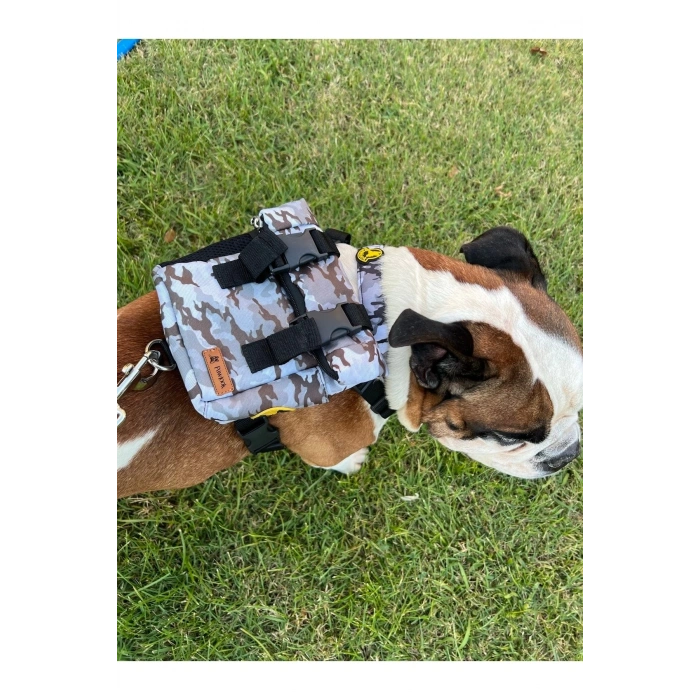 Köpek Sırt Çantası + Tasma Seti