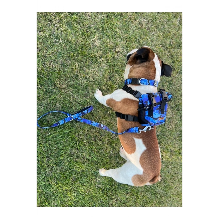 Köpek Sırt Çantası Tasma Seti