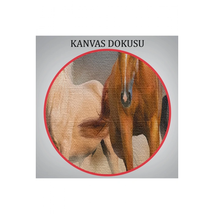 Koşan Atlar Dekoratif Kanvas Tablo 1126