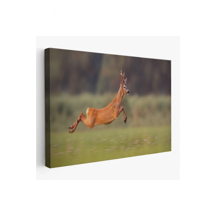 Koşan Geyik Dekoratif Kanvas Tablo 1170