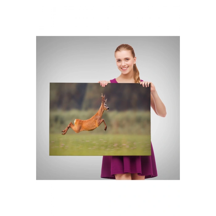 Koşan Geyik Dekoratif Kanvas Tablo 1170