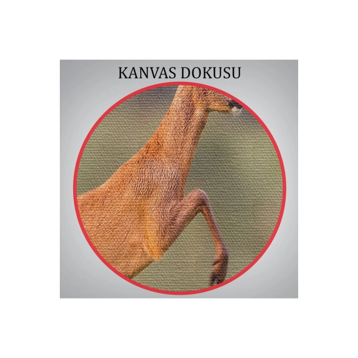 Koşan Geyik Dekoratif Kanvas Tablo 1170