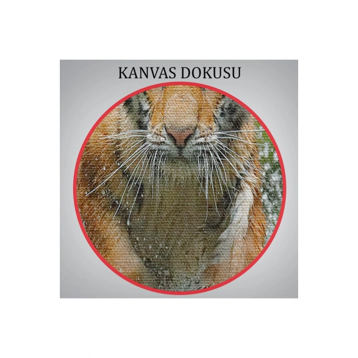Koşan Kaplan Dekoratif Kanvas Tablo 1142