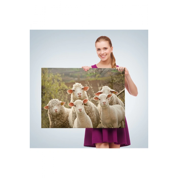 Koyun Kuzu Dekoratif Kanvas Tablo 1119