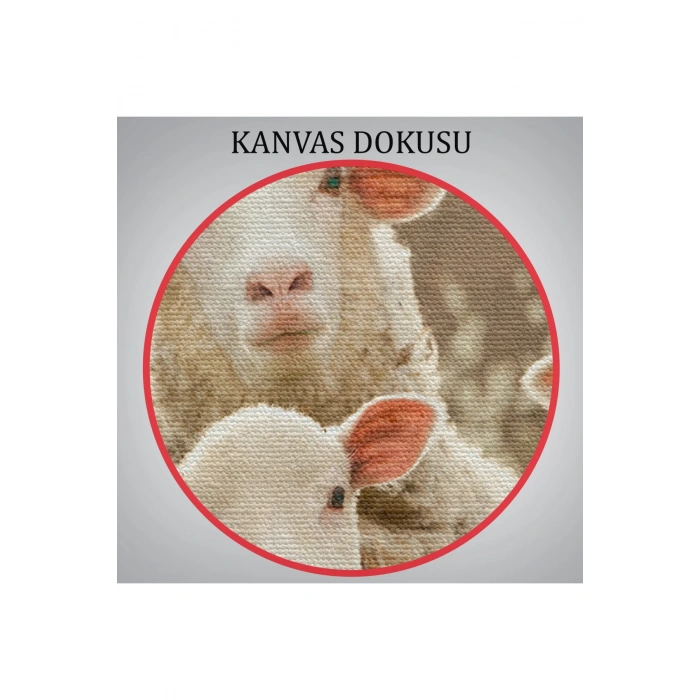 Koyun Kuzu Dekoratif Kanvas Tablo 1119