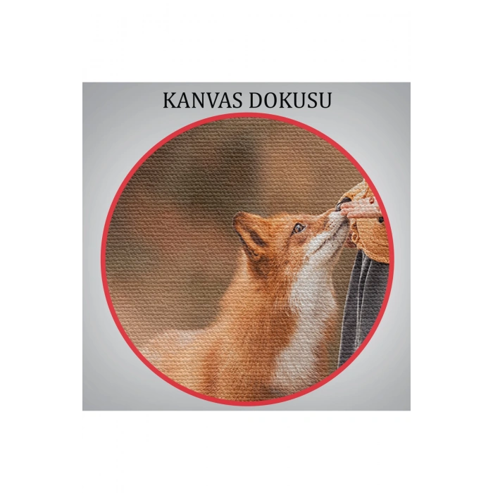 Küçük Kız ve Tilki Dekoratif Kanvas Tablo 1147