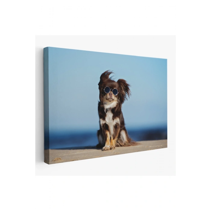 Küçük Köpek Dekoratif Kanvas Tablo 1157