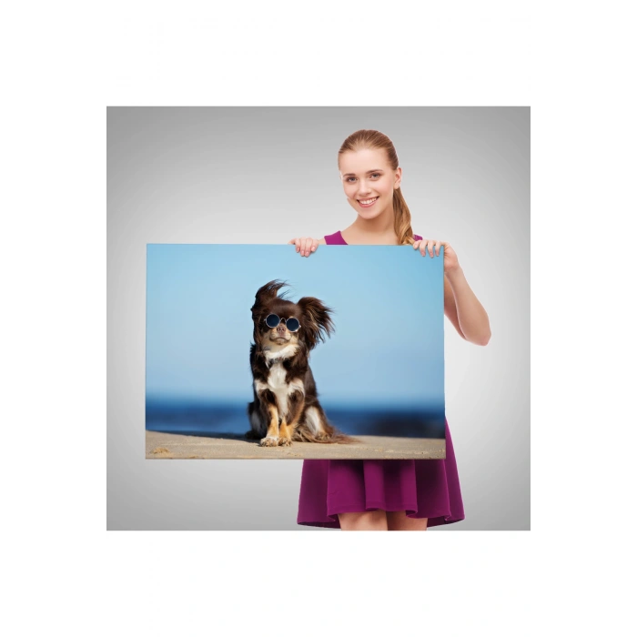 Küçük Köpek Dekoratif Kanvas Tablo 1157