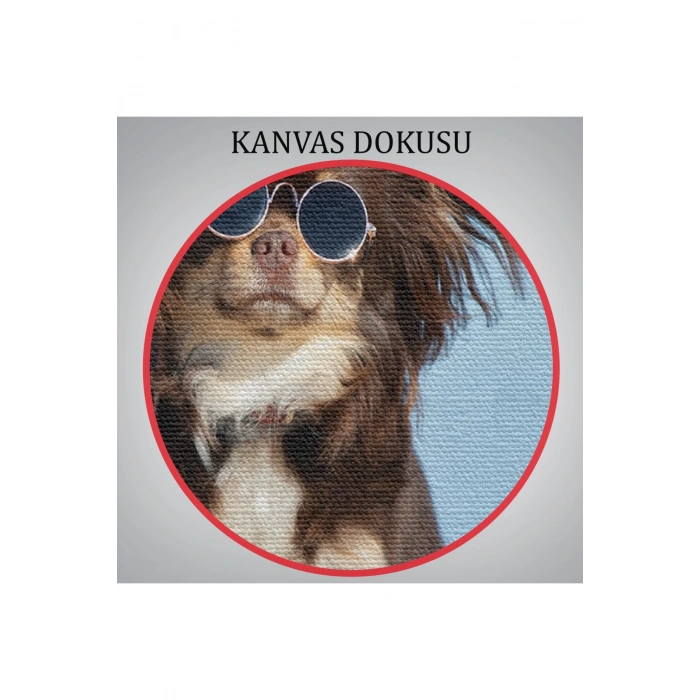 Küçük Köpek Dekoratif Kanvas Tablo 1157